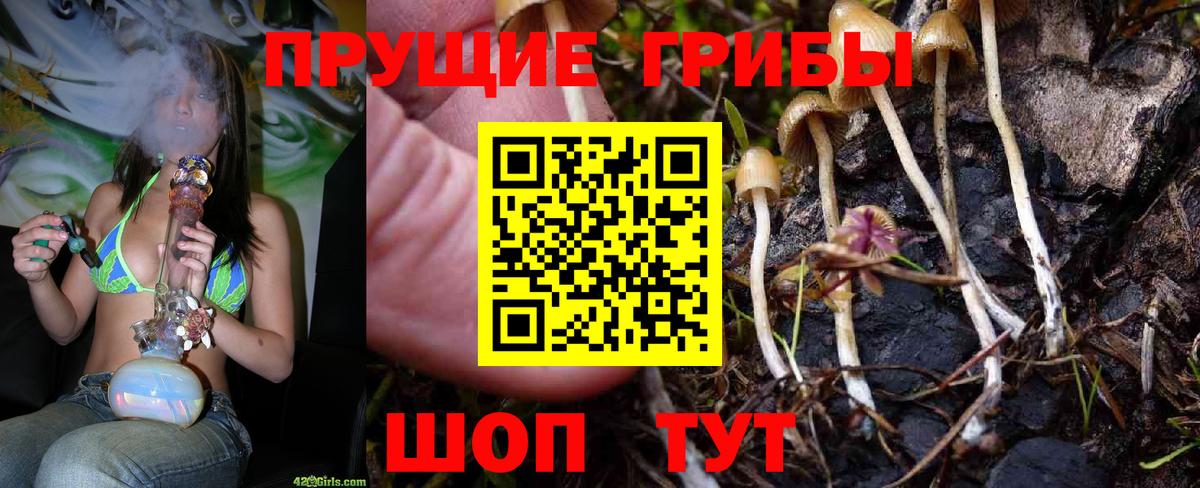 Галлюциногенные грибы мухоморы Чернушка